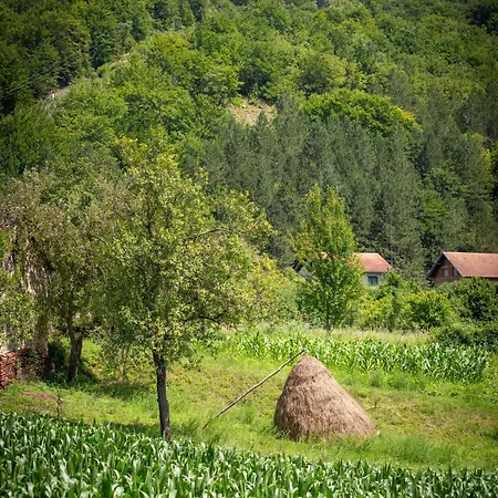 Martin Brod * Gorizia